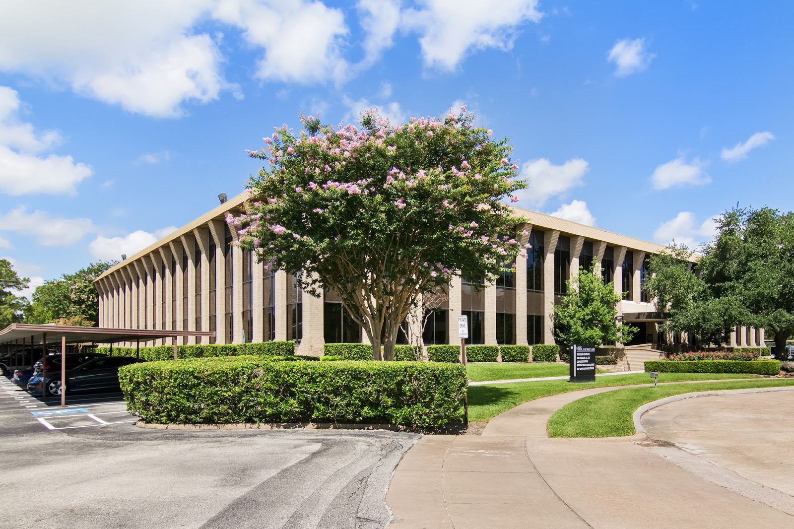 Positive Recovery - Energy Corridor