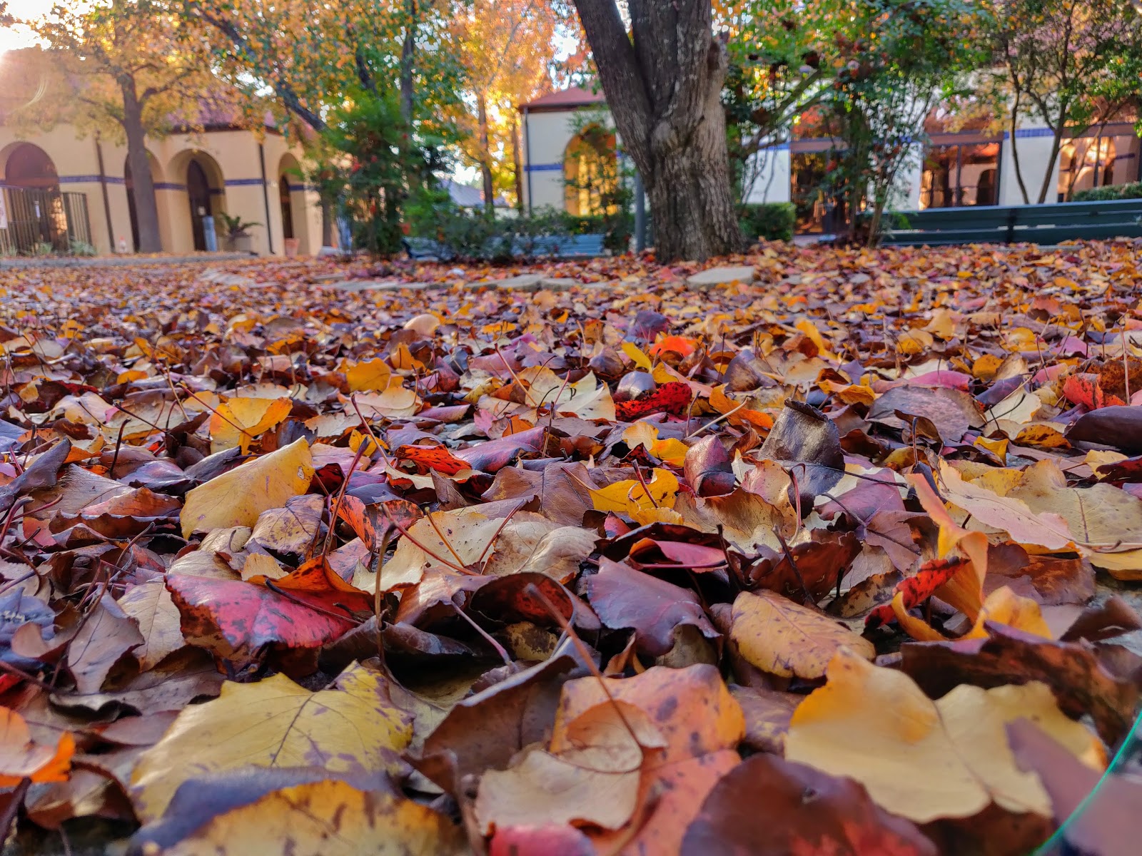 Laurel Ridge Treatment Center
