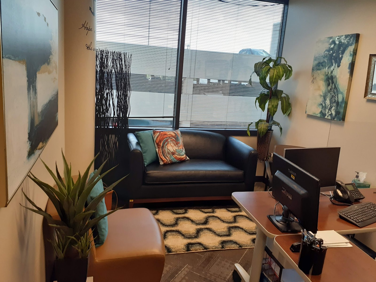 Harris Center for Mental Health and IDD